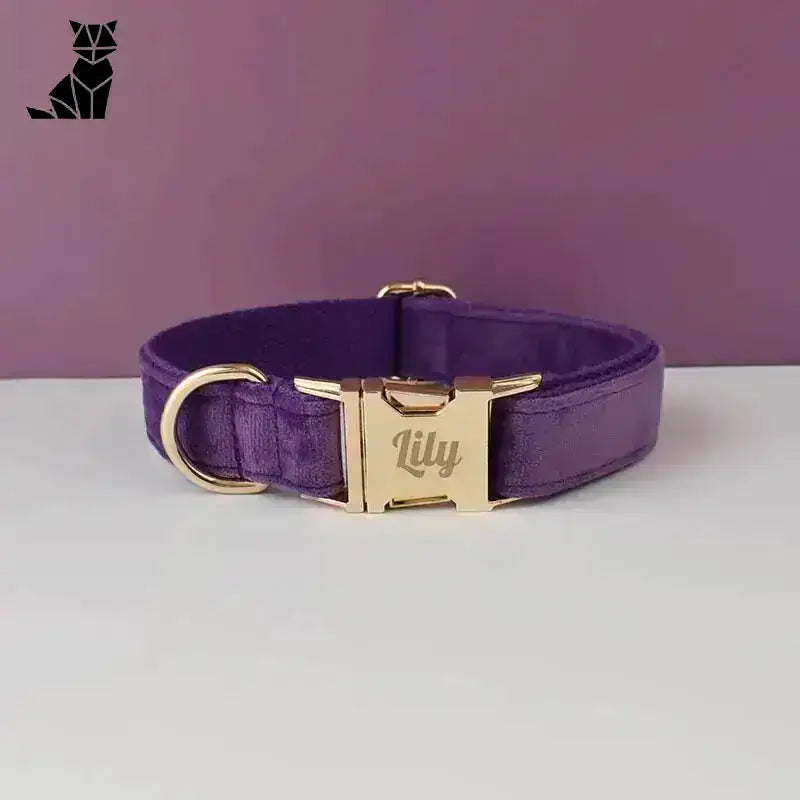 Aksamitna Obroża dla Psa z Personalizacją Fioletowy Klar / Xs
