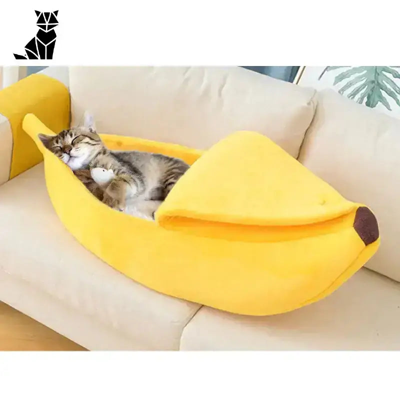 Banan dla Kota – Stylowe Legowisko i Komfort
