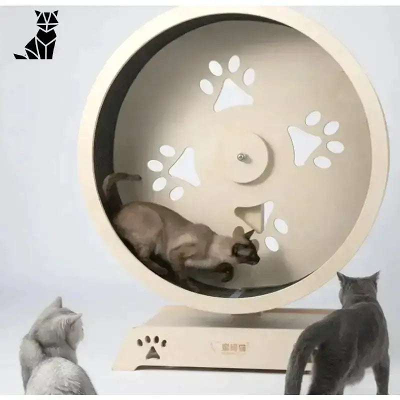 Bieżnia Drewniana dla Kota – Styl i Zabawa Drewniany Kot ćwiczenie