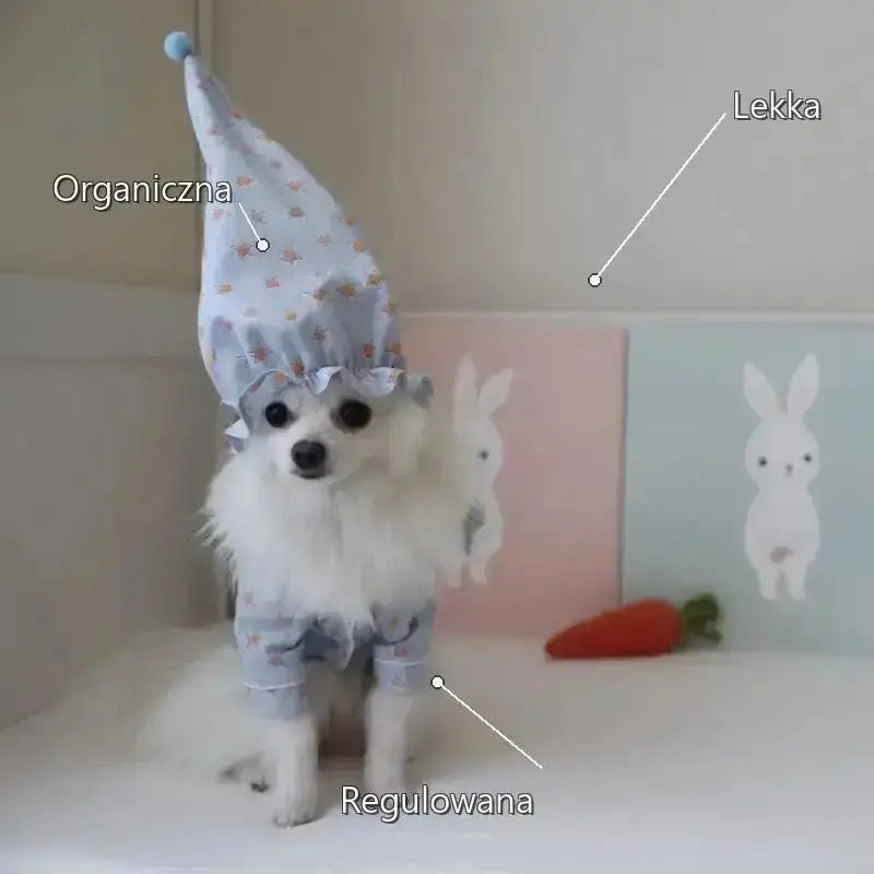 Czapka dla Psa Ciepła Regulowana Wygodna