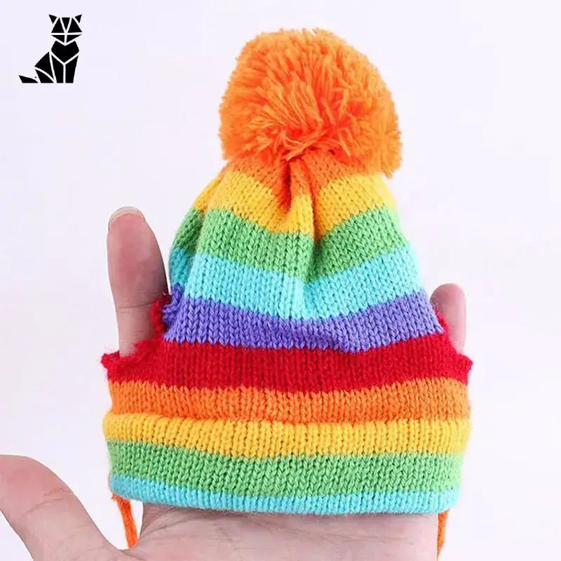 Czapka Zimowa Kolorowa na Chłodne Dni Wielobarwny