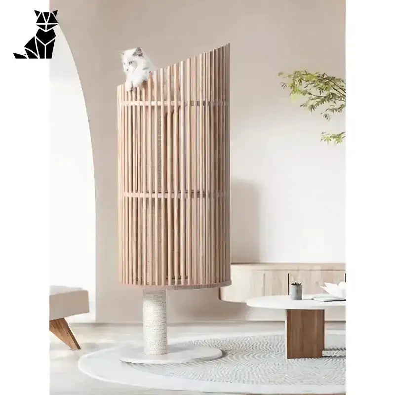 Drapak dla Dużego Kota Maine Coon – Komfort i Styl