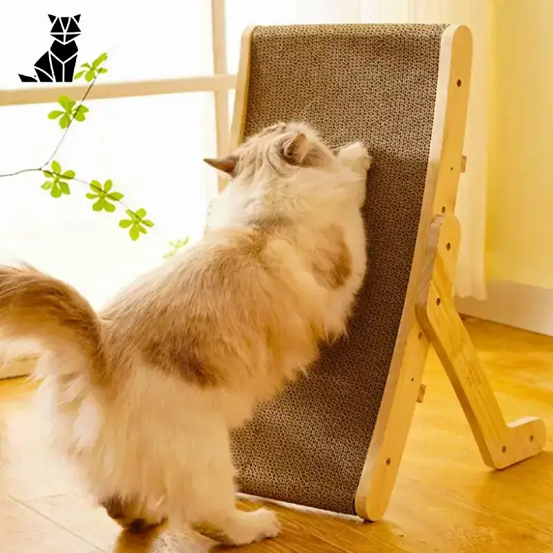 Drapak dla Kota Kartonowy od Scratchyparadise Tytuł Domyślny