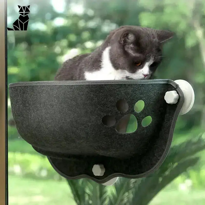 Hamak na Okno dla Kota z Widokiem