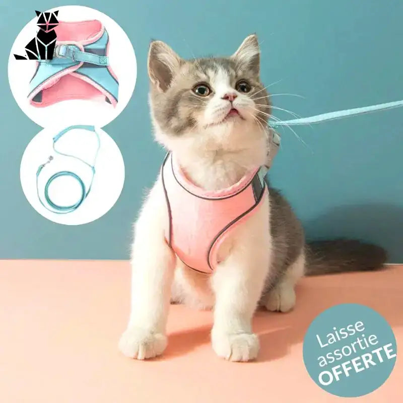 Harnesscat™ - Bezpieczne i Wygodne Przypięcie Dla Twojego Kota - Różowy i Niebieski / s (kotek)