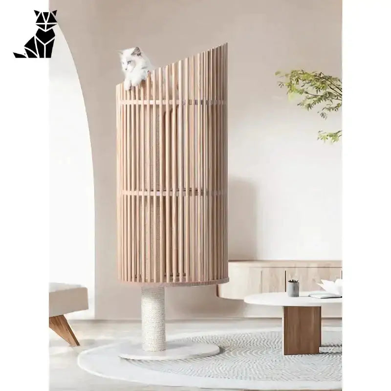 Idealny Drapak Dla Kota Maine Coon – Komfort i Zabawa w Jednym!