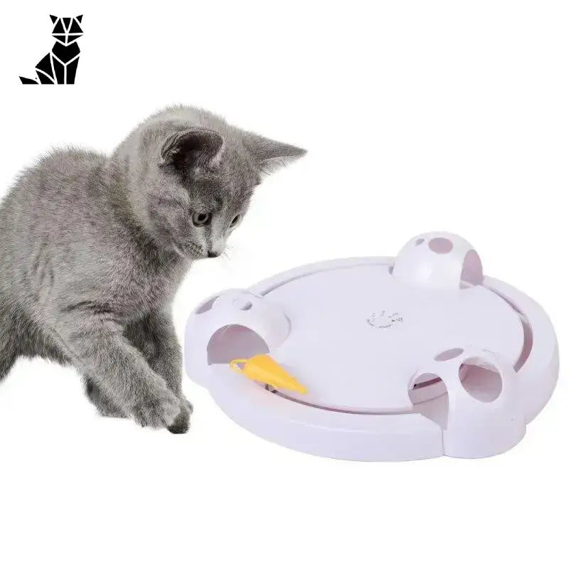 Interaktywna Mysz dla Kota w Tunelu Blanc