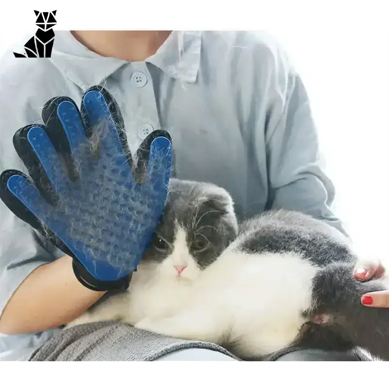 Jak Pomóc gdy Kot po Usunięciu Oka