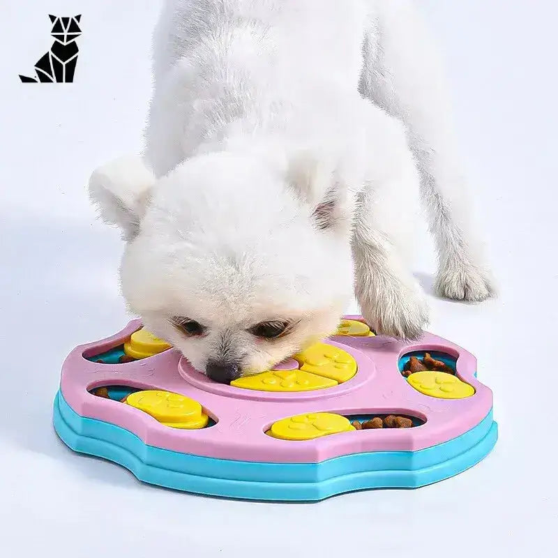 Karmnik dla Psów Interaktywny z Puzzle Feeder 2 Biały Pies Różowy