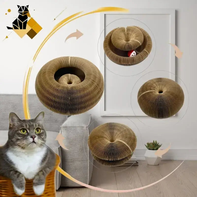 Kartonowa Zabawka Magicgriff™ - Frajda dla Kota