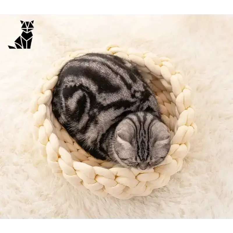 Legowisko dla Kota na Szydełku – Komfort i Styl w Jednym Szary Pręgowany Kot