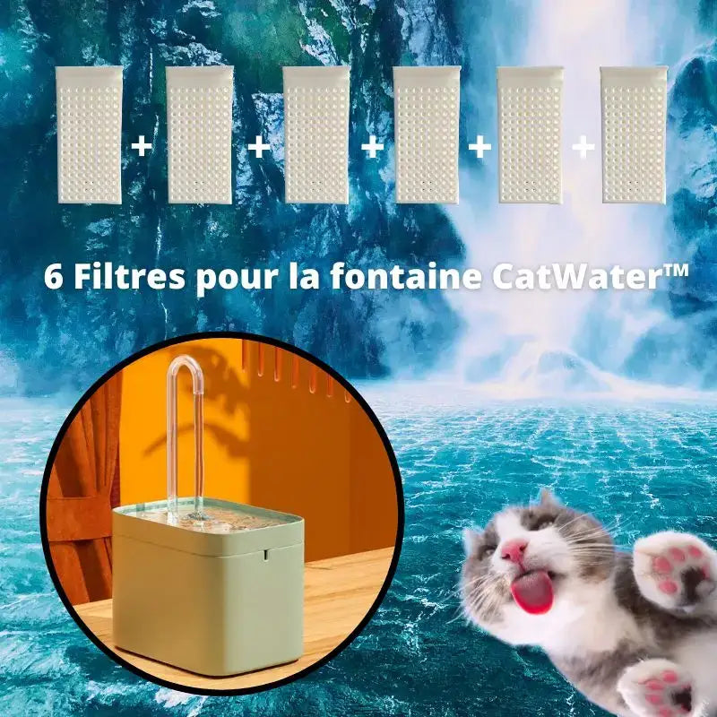 Miesięczne Filtry Do Fontann - Dbaj o Czystość Wody - 6 Filtrów Catwater™