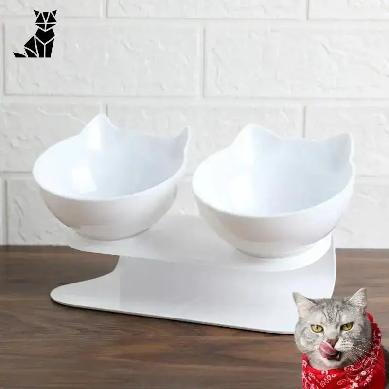 Miska dla Kota Podwyższona Ergonomiczna Catsfood Biały Biały Ceramika Podwójny