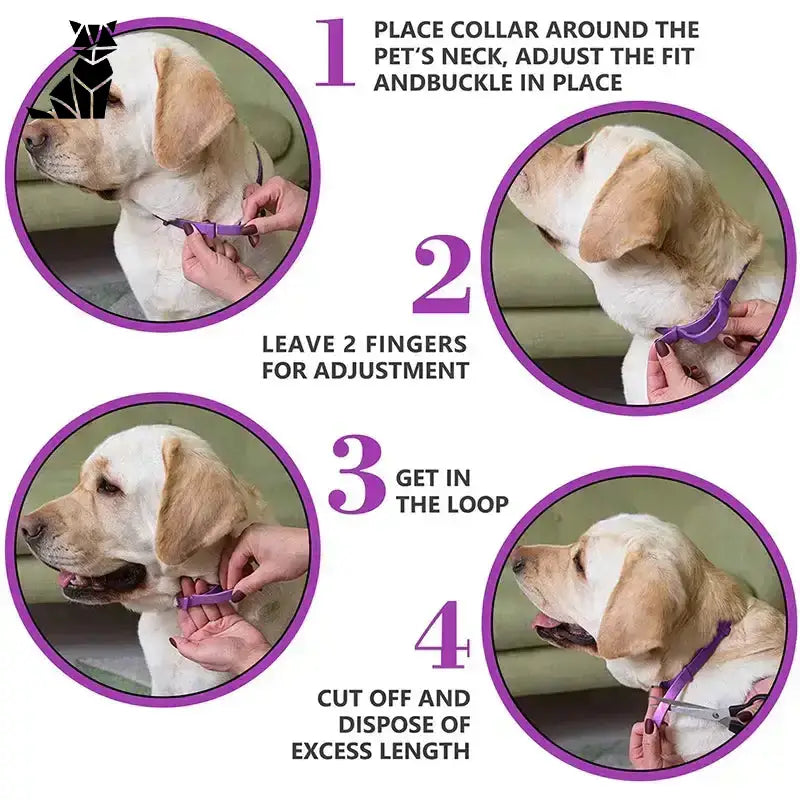 Obroża Antystresowa dla Kota na Codzienny Spokój Fioletowy / Neck Adjustable
