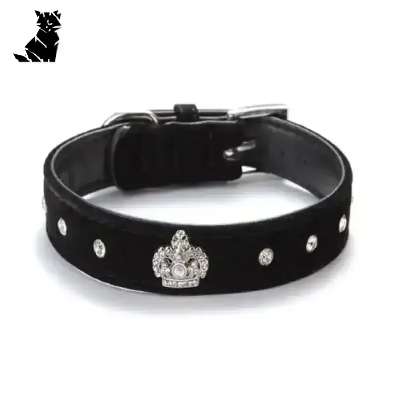 Obroża dla Jack Russell Terrier z Miękkiego Materiału Czarny / Xs