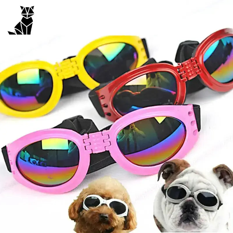 Okulary dla Psa: Stylowy i Komfortowy Dodatek