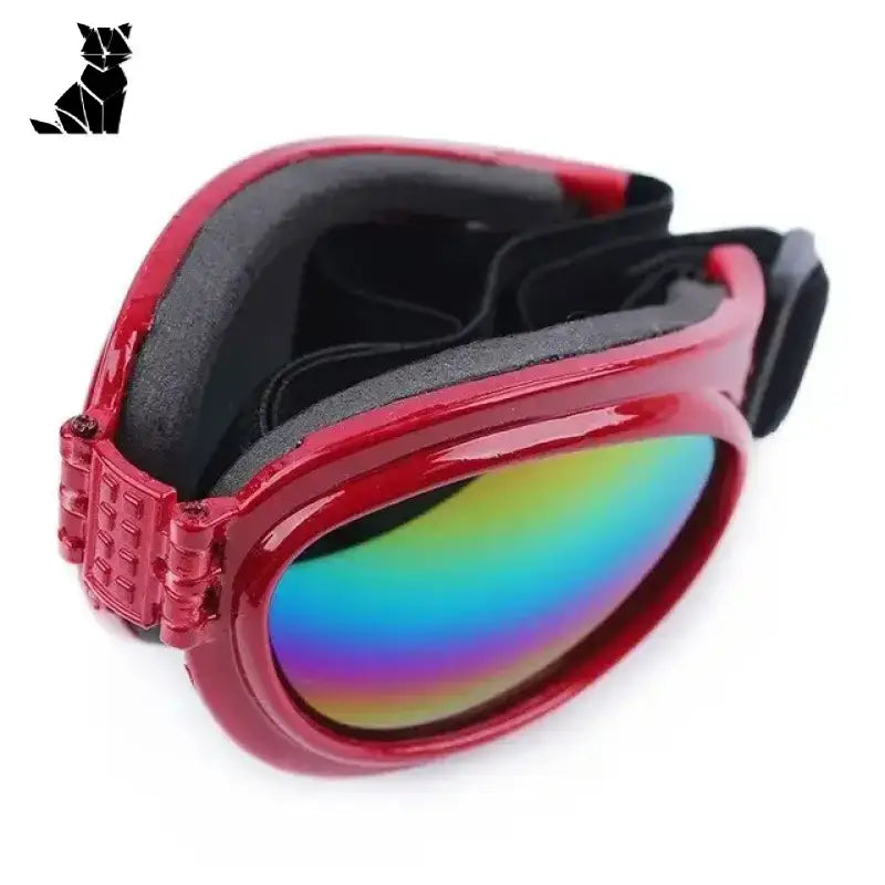 Okulary dla Psa: Stylowy i Komfortowy Dodatek Czerwone Okulary