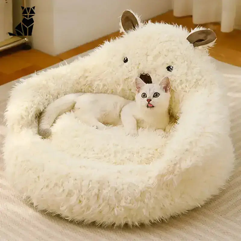 Pluszowy Domek dla Kota Idealny na Relaks Puszysty Kremowy Kot