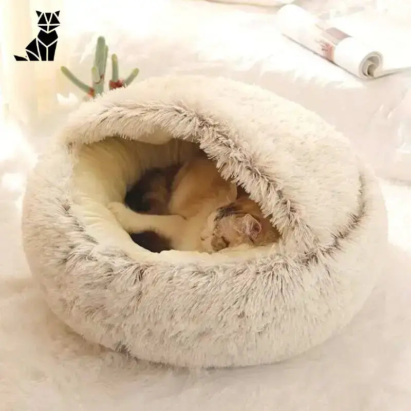 Poduszka dla Kota Sacha - Komfortowy Wypoczynek Kawa/śmietanka / 50x50cm (do 8kg) Koty Zwinięty Puszysty