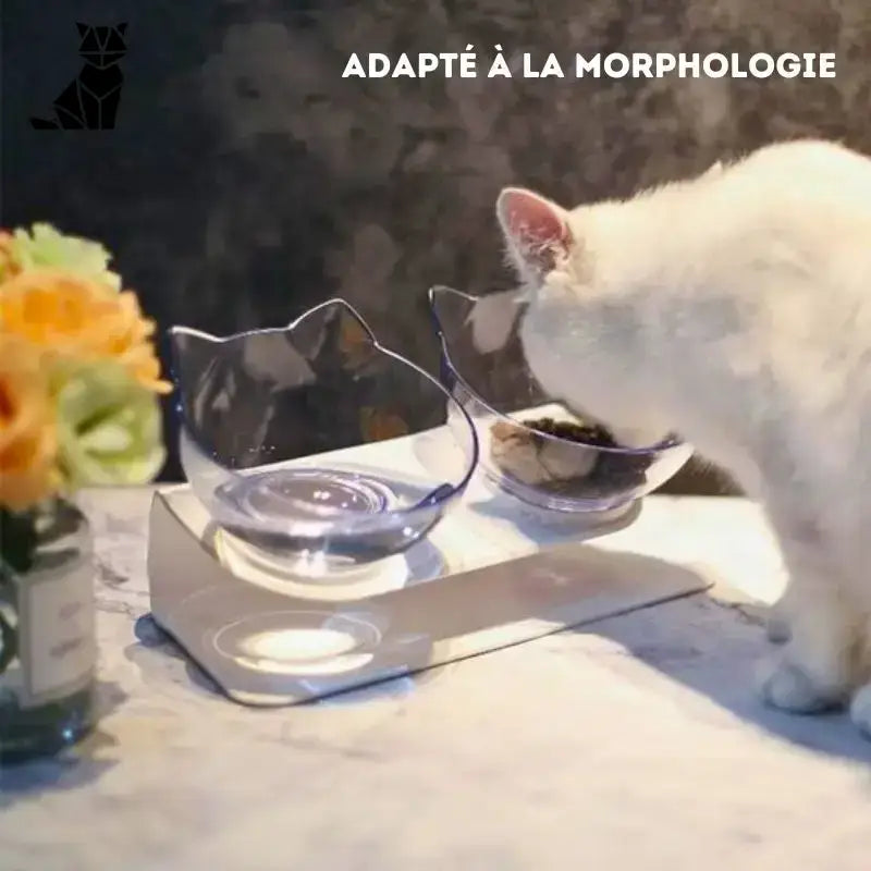 Podwyższona Miska dla Kota Catsfood – Styl i Komfort