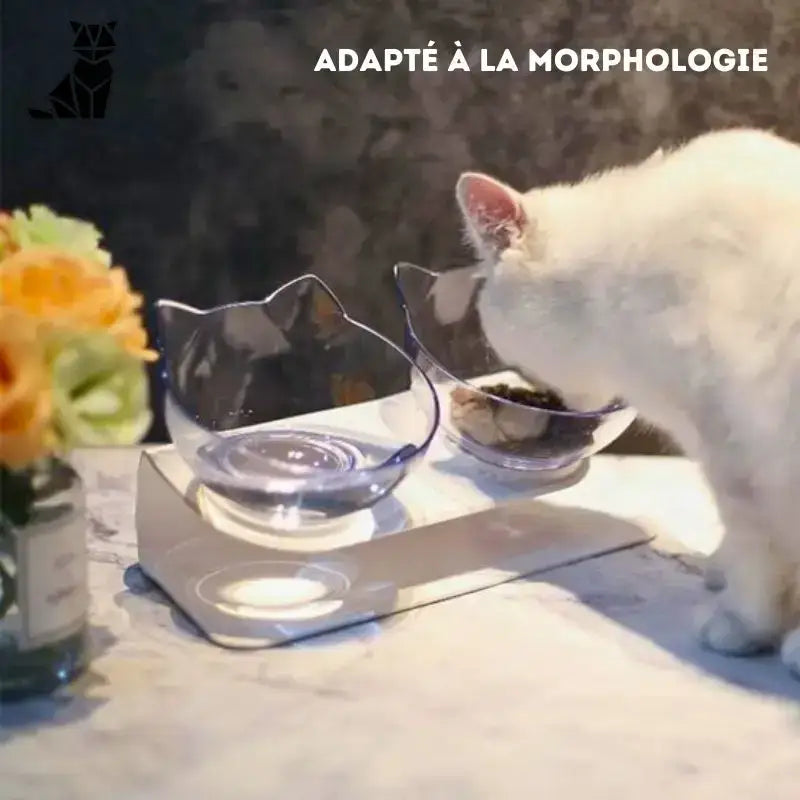 Podwyższona Miska dla Kota Catsfood – Styl i Komfort Podwyższony Czysty Kocie Ucho