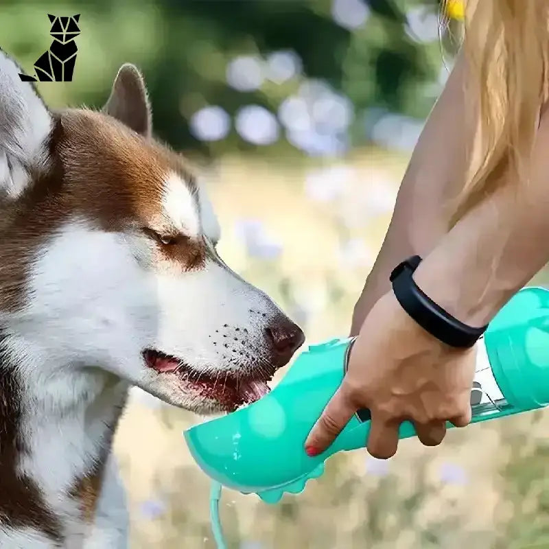 Przenośna Miska dla Psa – Wygoda na Spacerze