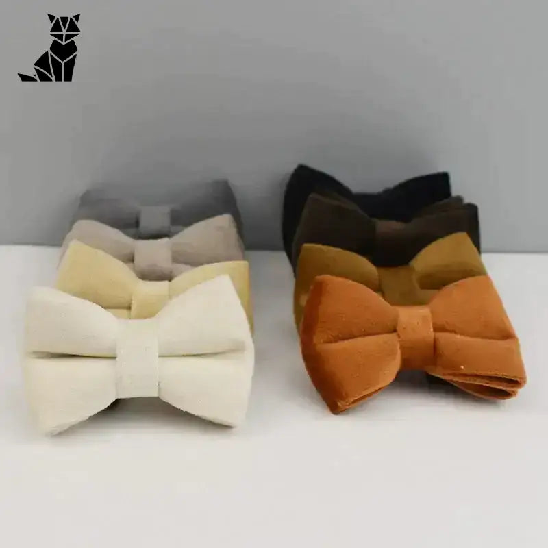 Stylowy Pasek dla Kota z Dzwoneczkiem