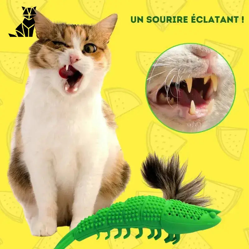 Szczoteczka dla Kota Denticat – Zdrowe Zęby i Zabawa