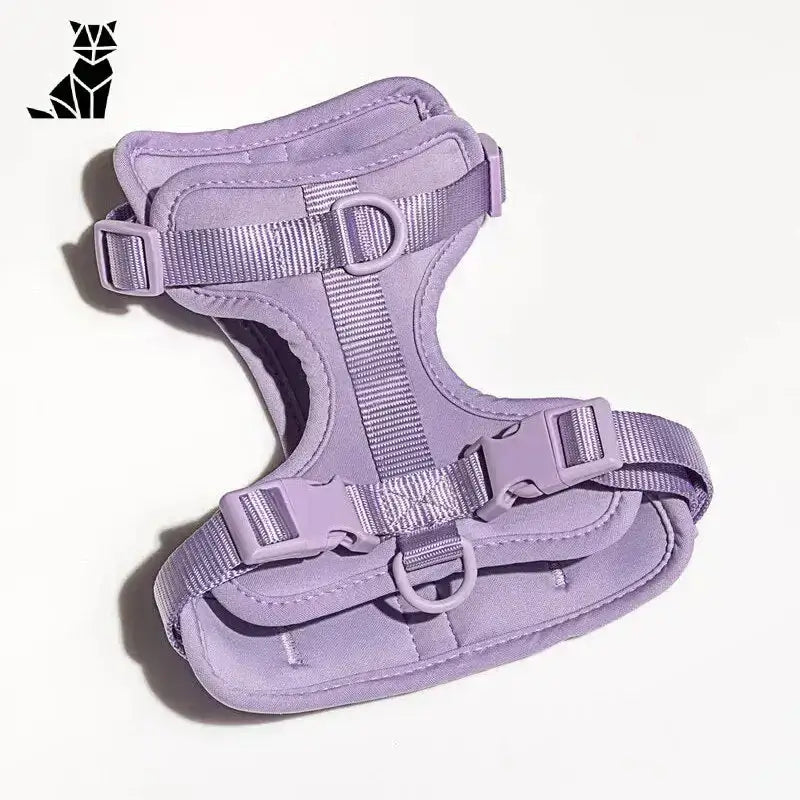 Szelki dla Berneńskiego Psa Pasterskiego Fioletowy / Xs Kolor Lawendowy Zwierzak Uprząż