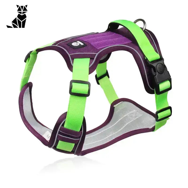 Szelki dla Labradora Oddychające Regulowane Fioletowy / s 36-50cm Fioletowy Neon Zielony