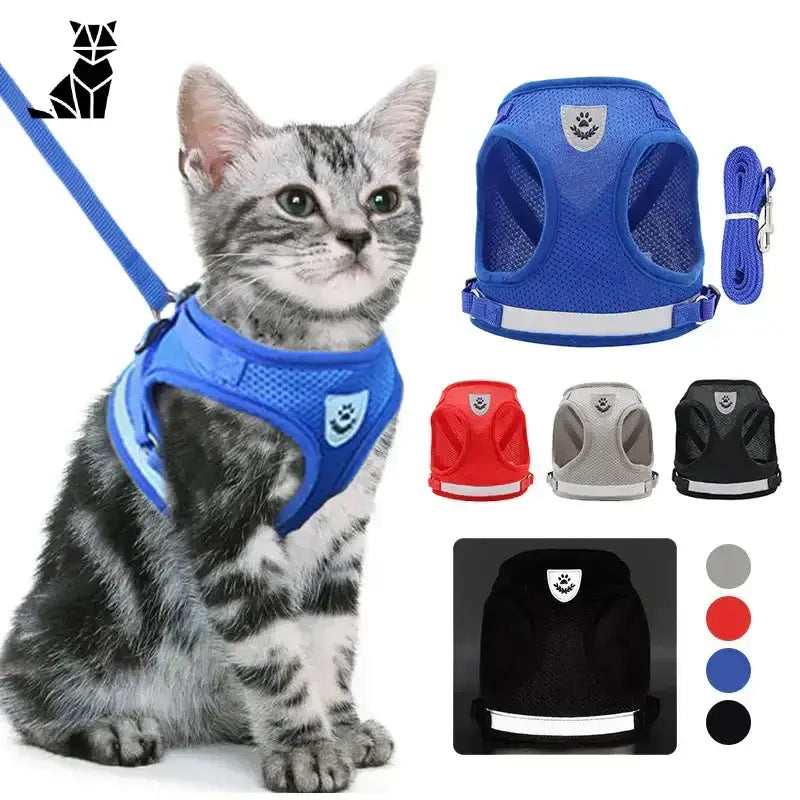 Szelki dla Zwierząt Bez Ucisku i Stresu Siatka Kot Uprząż