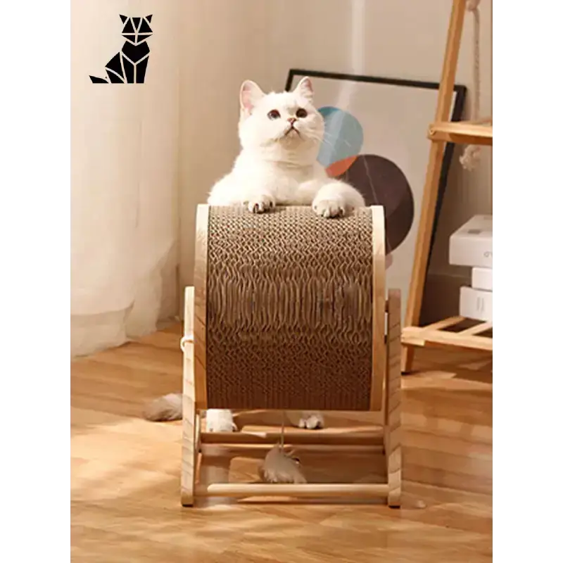Tani Drapak dla Kota Drewniany Wytrzymały Biały Kot Karton
