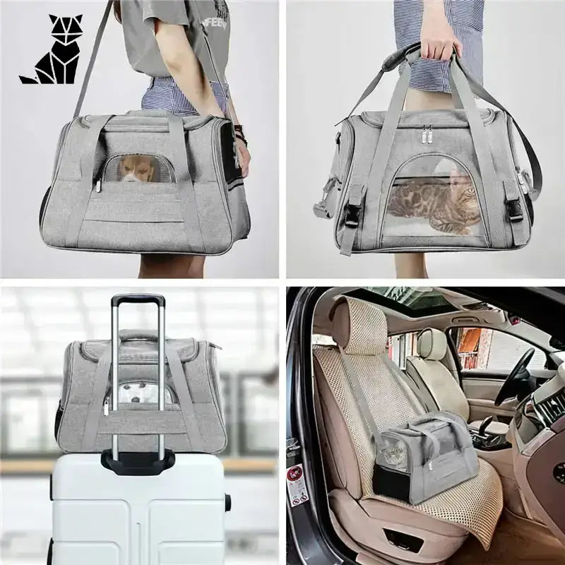 Torba Movincat dla Kota - Komfort w Podróży
