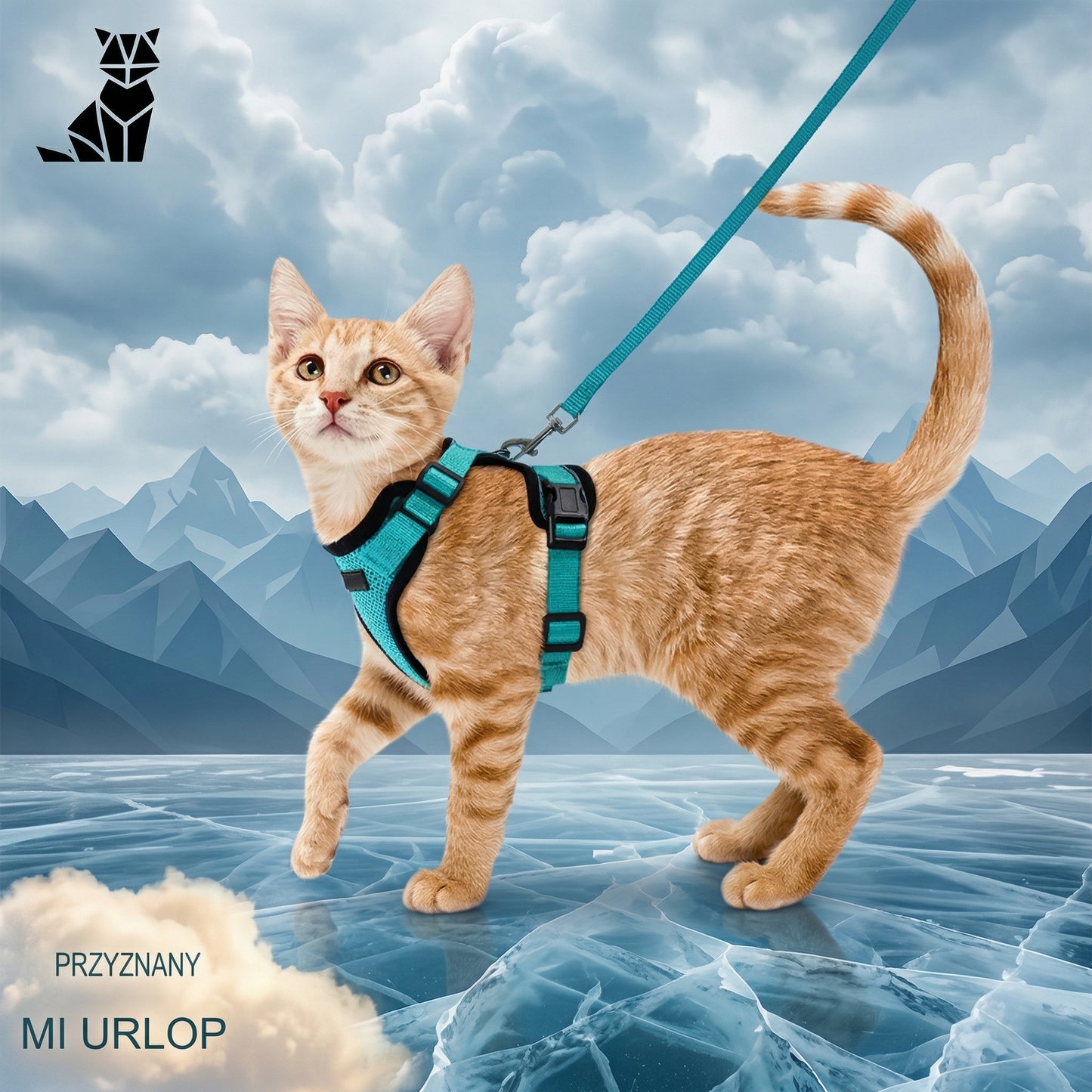 Szelki Bezuciskowe dla Kota Chajustable™