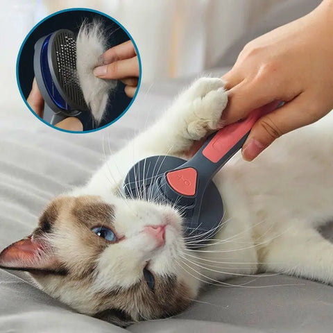 Brosse pour chat | CatBrush™