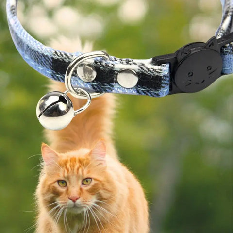Collier pour chat | ChatChic™