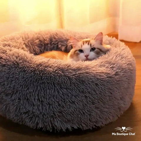 Poduszka dla kota ❘ NuageCats™