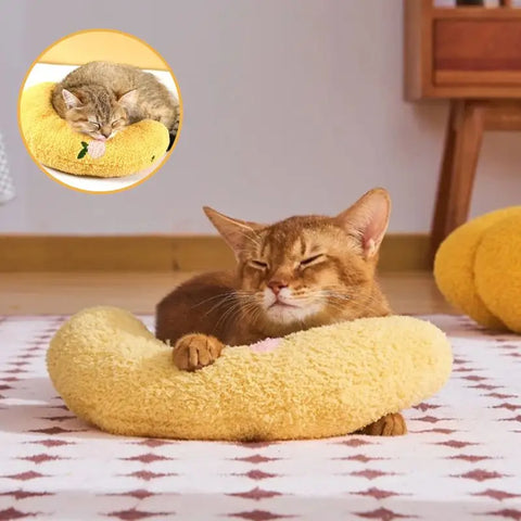 Lot de coussins pour chat | CoussinLune™