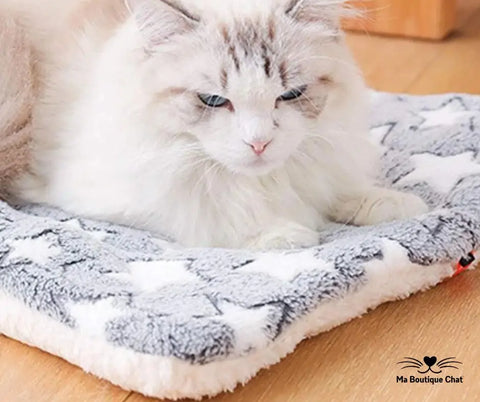 Couverture pour chat | CatsCovered™