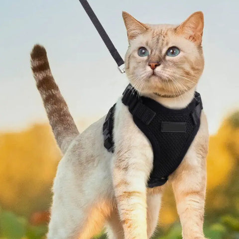 szelki dla kota antyucieczkowe Chajustable