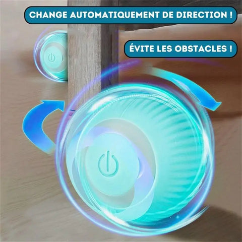 La balle magic pour chat | MagicBall™