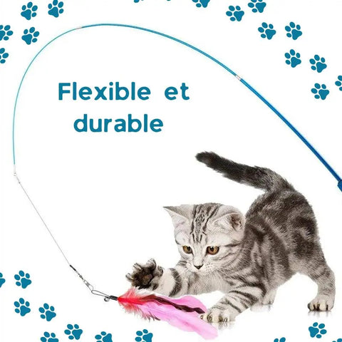 La canne magique pour chat ❘ Magicanne™