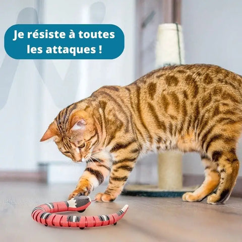 Jouet serpent pour chat | Persifleur™