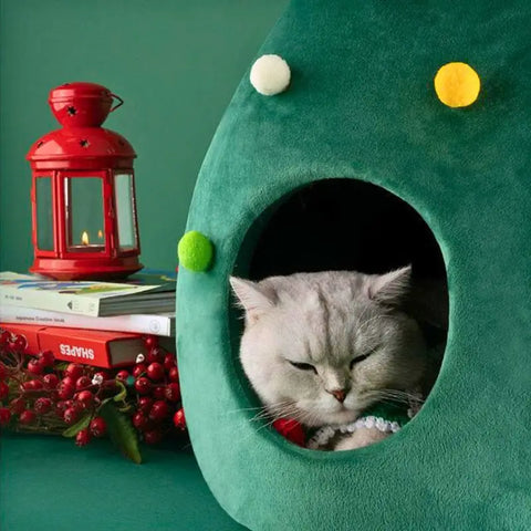 Niche de noël pour chat | Chapin™