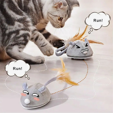 Souris pour chat | Souricat™