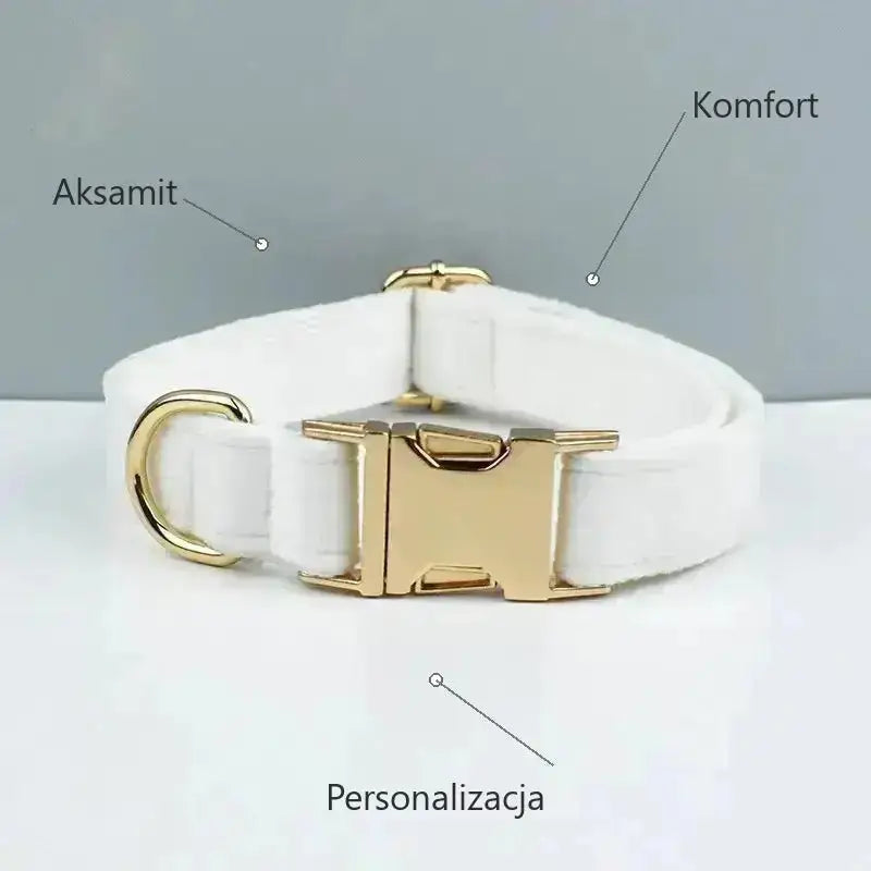 Aksamitna Obroża dla Psa z Personalizacją