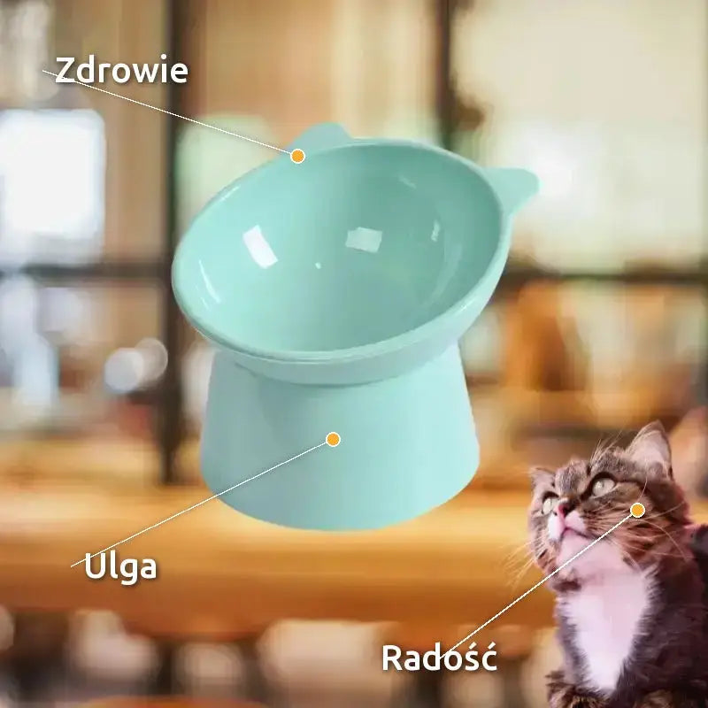 Anatomiczna Miska dla Kota Ergonomiczna z Podstawką Zielony