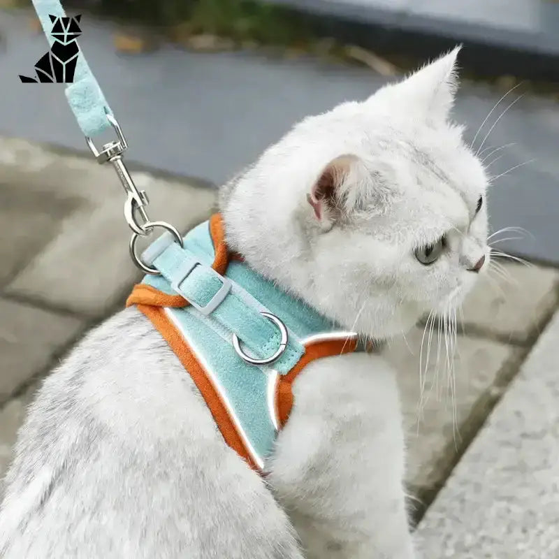 Bezpieczne Szelki dla Kota w Każdej Podróży Biały Kot Turkus