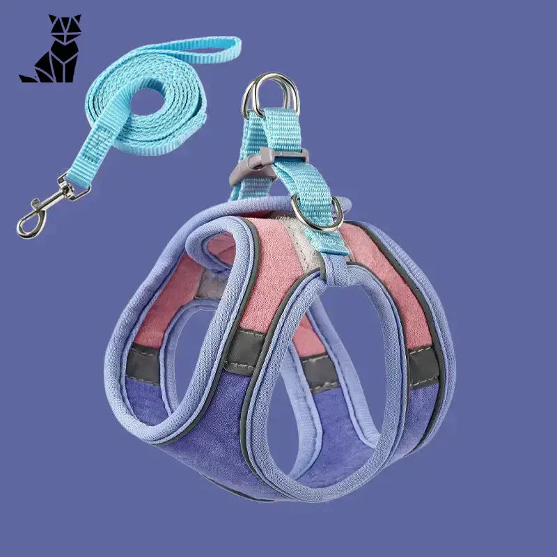 Bezpieczne Szelki dla Kota w Każdej Podróży Niebieski Róż / s (24–28 Cm | 20–24 Cm | ≤ 2 Kg) Miękki Kolorowy Regulowany