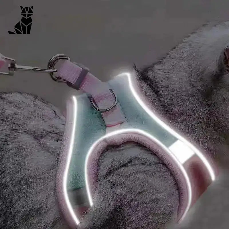 Bezpieczne Szelki dla Kota w Każdej Podróży Odblaskowy Kot Uprząż